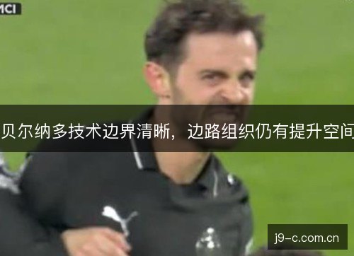 贝尔纳多技术边界清晰，边路组织仍有提升空间